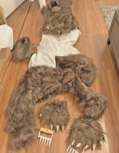 Distorted View Comedy Podcast Article On Fake Bear - Costume